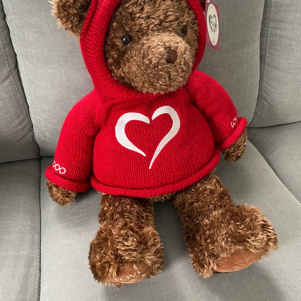 Gund Millennium Bear with Red Hoodie
